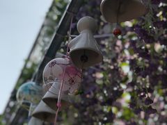 -云幽谷旅游区