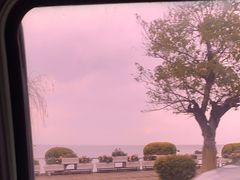 -洱海月湿地公园