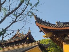 -汤山公园