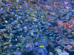 -成都浩海立方海洋公园