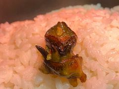 -醉小酒馆·川菜·江湖菜·重庆菜(观音桥旗舰店)