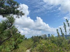 -DQ·蛋糕·冰淇淋(奥林匹克广场店)