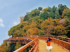 -少华山国家森林公园
