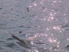 -怡得饭庄·宋大妈昆明菜·始于1996(滇池海埂大坝店)