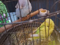 -九号温泉生活馆