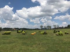 -云漫湖生态度假公园