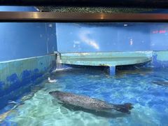 -太平洋海底世界