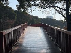 -美兰湖景区