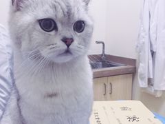 -芭比堂动物医院·犬猫全科·异宠专科(雁塔分院)