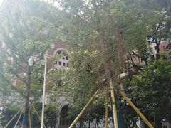 -长沙市青少年宫