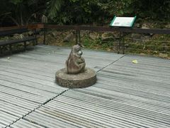 -太鲁阁公园