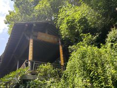 -十八棵（老龙井）御茶园(老龙井店)