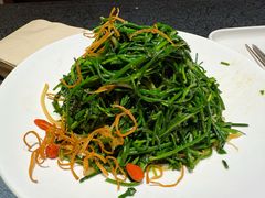 凉拌沙葱-红柳枝滩羊烧烤·非遗