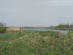 -春花秋色城市公园