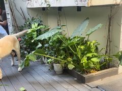 -绿房子方寸咖啡(星海名城店)