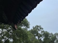 -北陵公园