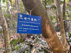 -中国科学院西双版纳热带植物园