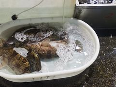 -新农都水产市场