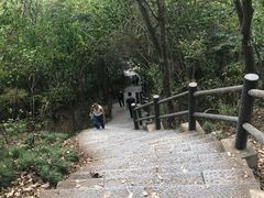 -紫金山索道-售票处