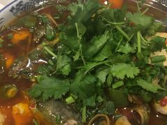 -院8里·少城记忆老川菜(宽窄巷子店)