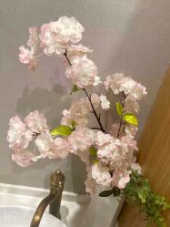 -Lily纤美·科技减脂中心