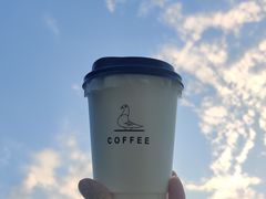 -野鸽子咖啡(航空路店)