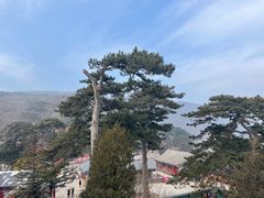 -妙峰山风景名胜区