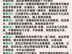 -武汉知音号