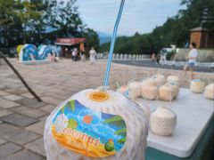-千岛湖天屿景区