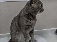 -瑞鹏宠物医院·骨科·猫科·内科(第一中心)