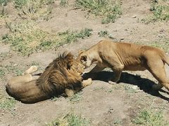 -新疆天山野生动物园