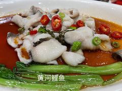 -山西会馆·晋菜·晋商宴·牌匾博物馆(胜利东街店)