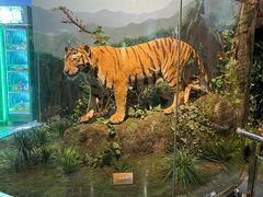 -陕西自然博物馆