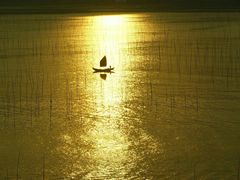 -北岐滩涂