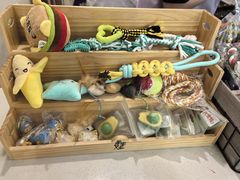 -伟伟宠物医院·CT影像中心·瑞派犬猫综合性门诊(汉口总院)
