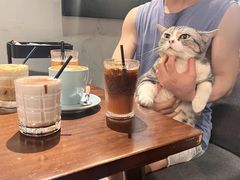 -咖法森林·咖啡  酒吧(天河店)