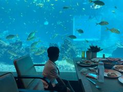 -涛·海底餐厅·美人鱼·自助餐·海底隧道(三亚海棠湾洲际度假酒店)