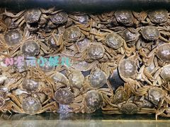 -星海汇海鲜自助烤肉火锅(百大店)