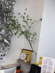 -茶发Salon·烫发染发理发