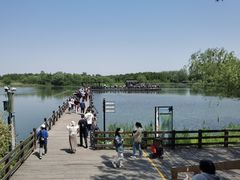 -溱湖国家湿地公园