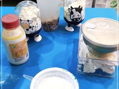 -德禄酸奶(莫家街店)