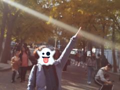 -三里屯东五街银杏大道