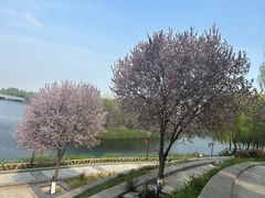 -西安汉城湖景区