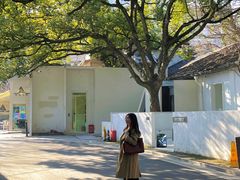 -凤凰御元艺术基地