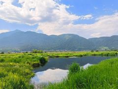 -腾冲北海湿地