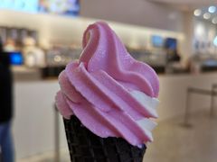 -喜茶(迪士尼小镇DP店)