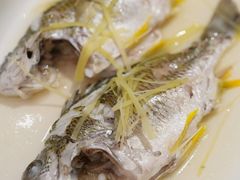 -花城苑广府菜(侨鑫店)