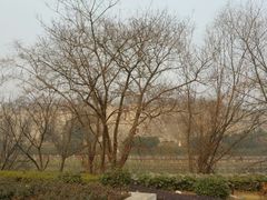 android_upload_pic-御庭精品酒店(秦淮河店)