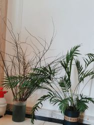 -香秀空间科技抗衰·美容中心