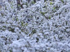 -共青国家森林公园-售票处